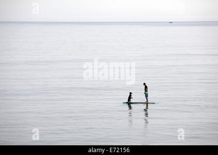 Saltburn dal mare, Cleveland, Regno Unito. 3 Sep, 2014. 34 enne Sam Davis practice trucchi durante l'attesa di una onda con il suo cane surf 'Meg" presso la località balneare di Saltburn dal mare, Cleveland, Regno Unito. 3 Sep, 2014. Credito: Stuart Boulton/Alamy Live News Foto Stock