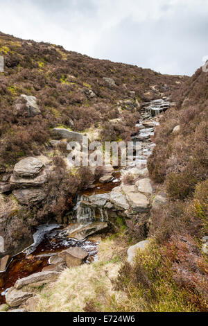 Stream correndo giù per la collina moor sul bordo orientale del Kinder Scout, Derbyshire, Parco Nazionale di Peak District, England, Regno Unito Foto Stock