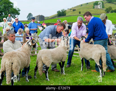 Mostra ovini a Muker Show, Swaledale superiore, Yorkshire Dales National Park, North Yorkshire, Inghilterra, Regno Unito Foto Stock