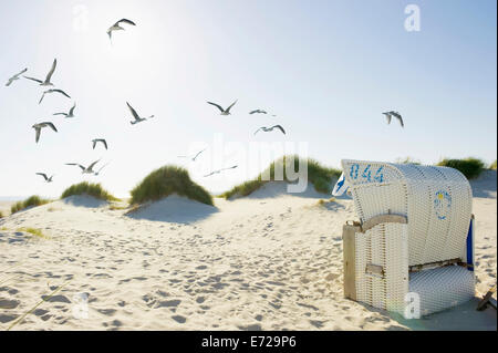 Sedia spiaggia di dune di sabbia con i gabbiani in volo, vicino Wyk, Föhr, Nord Isole Frisone, Schleswig-Holstein, Germania Foto Stock