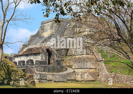 Modello ripristinato all'antica città maya di Altun Ha vicino a Città del Belize. Foto Stock