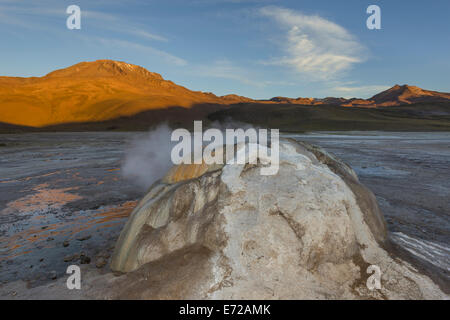 Geyser nella luce della sera, tatio geyser, San Pedro de Atacama, regione di Antofagasta, Cile Foto Stock