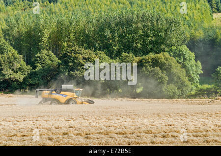 Macchina mietitrebbiatrice ABERDEENSHIRE SCOZIA NUBI DI POLVERE SOLLEVATA DALLA MACCHINA IN UN CAMPO DI ORZO Foto Stock
