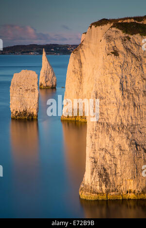 Alba presso le bianche scogliere e rocce di Harry a Studland, Isle of Purbeck, Jurassic Coast, Dorset, Inghilterra Foto Stock