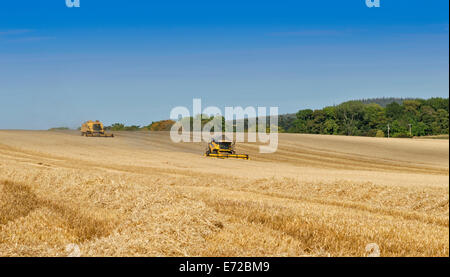 Trebbiatrici mietitrebbia ABERDEENSHIRE IN SCOZIA IN UN CAMPO DI ORZO CON IL CALORE E LA POLVERE Foto Stock