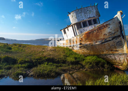 I naufraghi Point Reyes a Tomales Bay a Inverness, California, Stati Uniti d'America. Foto Stock
