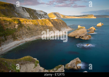 Impostazione della luce solare su Mupe Bay lungo la Jurassic Coast nelle vicinanze Lulworth, Dorset, Inghilterra Foto Stock