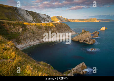 Impostazione della luce solare su Mupe Bay lungo la Jurassic Coast nelle vicinanze Lulworth, Dorset, Inghilterra Foto Stock