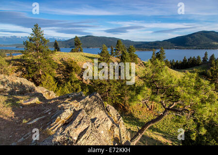 Vista panoramica del Lago Flathead con arrowleaf balsamroot fiori selvaggi sul cavallo selvaggio Island State Park, Montana, USA. Foto Stock