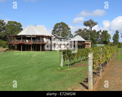 Il Cabernet Sauvignon vigne al Vasse Felix cantina nel Fiume Margaret area del Western Australia. Vigne più vecchie in WA Foto Stock