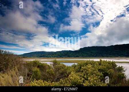 Paludi umide in Point Reyes National Seashore, Marin County, California. Foto Stock