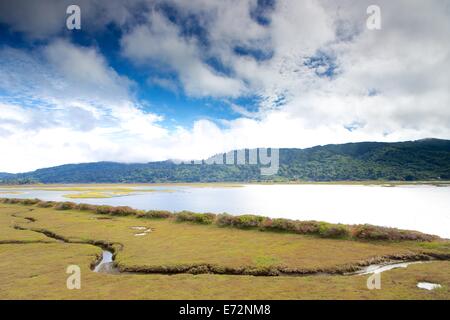 Paludi umide in Point Reyes National Seashore, Marin County, California. Foto Stock