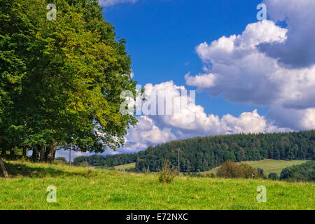 Vista sul paesaggio di campagna con dolci colline e valli. Foto Stock