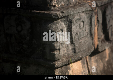 Teschi decorano il tzompantli o piattaforma Skull nella città Maya di Chichen Itza, la penisola dello Yucatan, Messico, 14 agosto 2014. Foto Stock