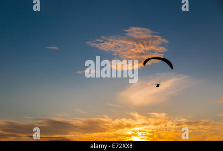 Un stagliano Para glider vola verso il tramonto sull'oceano pacifico. Foto Stock