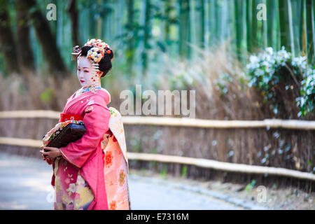Kyoto, Giappone - 14 Aprile 2013: il bosco di bambù di Kyoto, Giappone Foto Stock