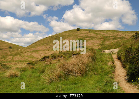 Il sentiero per il castello di vacca Simonsbath Parco Nazionale di Exmoor Devon England Regno Unito GB Foto Stock