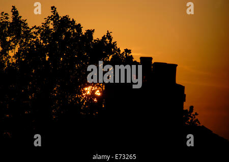 Tramonto dietro ad un albero e sul tetto della casa. Foto Stock