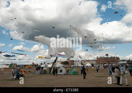 Portsmouth International Kite Festival, orso polare aquiloni Foto Stock