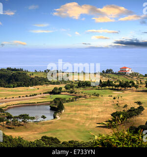 Erba verde e il mare dei caraibi per adv o altri usi Foto Stock