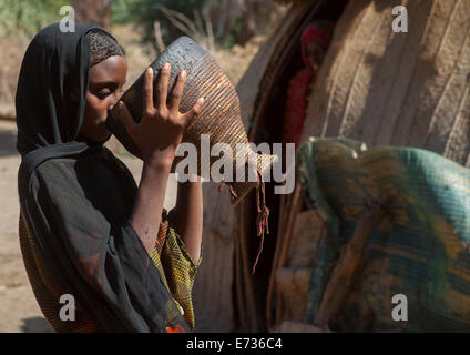 Mahammed Fatouma dall etnia afar bere latte di cammello, Afambo, Etiopia Foto Stock