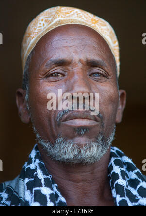 Etnia Afar sambuco, Afambo, Afar stato Regionale, Etiopia Foto Stock