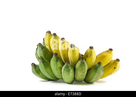 La banana coltivati Foto Stock