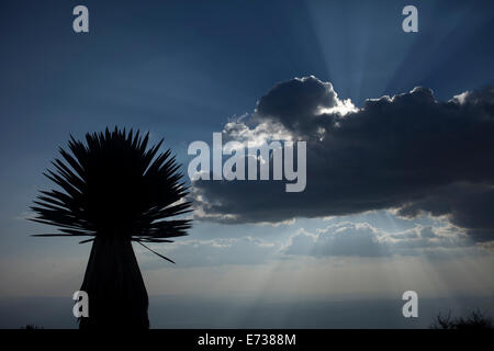 Il sole tramonta su Cerro Quemado montagna in Wirikuta, Real de Catorce, San Luis Potosi, Messico, 24 luglio 2014. Foto Stock