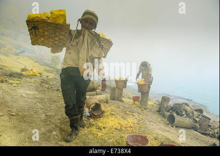 Lavoratori nella miniera di zolfo del vulcano Ijen, Java, Indonesia, Asia sud-orientale, Asia Foto Stock