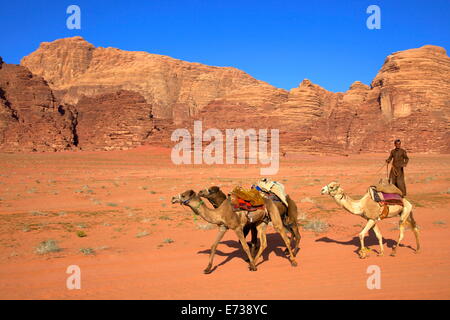 Bedouin e cammelli, Wadi Rum, Giordania, Medio Oriente Foto Stock