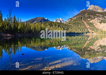 La riflessione del Teton range, Bradley Lake, il Parco Nazionale del Grand Teton, Wyoming negli Stati Uniti d'America, America del Nord Foto Stock