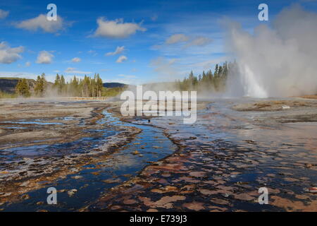 Daisy Geyser erutta in corrispondenza di un angolo, Upper Geyser Basin, il Parco Nazionale di Yellowstone, sito UNESCO, Wyoming USA Foto Stock