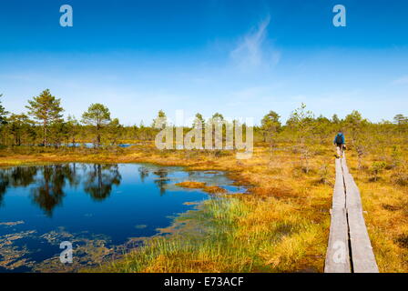 Viru Bog (Viru Raba) palude di torba, Lahemaa National Park, Harjumaa, Laane-Virumaa, Estonia, paesi baltici, Europa Foto Stock