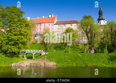 La collina di Toompea, Snelli Tiik lago, la città vecchia di Tallin, patrimonio mondiale dell UNESCO, Estonia, paesi baltici, Europa Foto Stock