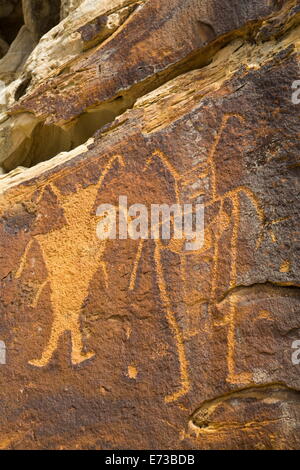 Molla di McKee incisioni rupestri, Fremont stile, da AD 700 A AD 1200, Dinosaur National Monument, Utah, Stati Uniti d'America Foto Stock