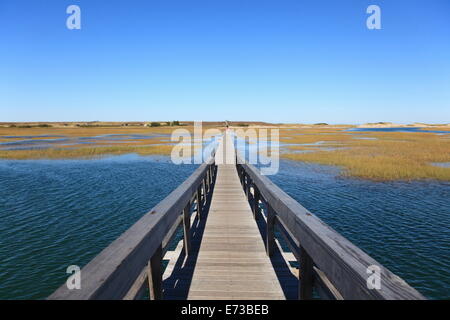 Il Boardwalk, Salt Marsh, sandwich, Cape Cod, Massachusetts, New England, Stati Uniti d'America, America del Nord Foto Stock