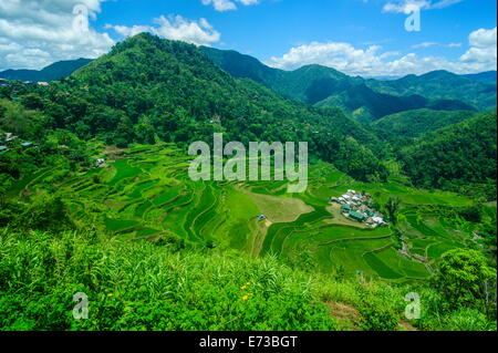 Bangaan in terrazze di riso di Banaue, Sito Patrimonio Mondiale dell'UNESCO, Northern Luzon, Filippine, Sud-est asiatico, in Asia Foto Stock