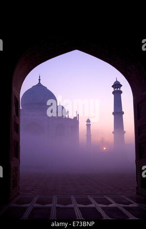 Taj Mahal di sunrise, Sito Patrimonio Mondiale dell'UNESCO, Agra, Uttar Pradesh, India, Asia Foto Stock