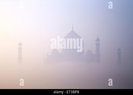 Taj Mahal all'alba, Sito Patrimonio Mondiale dell'UNESCO, Agra, Uttar Pradesh, India, Asia Foto Stock