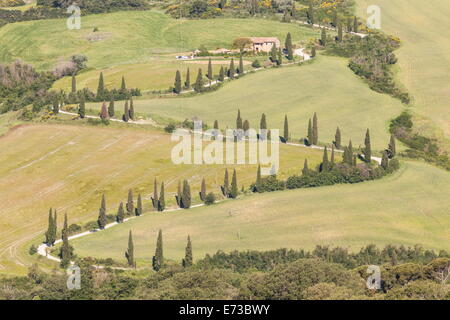 Cipressi la linea di una strada tortuosa in Val d'Orcia, Sito Patrimonio Mondiale dell'UNESCO, Toscana, Italia, Europa Foto Stock