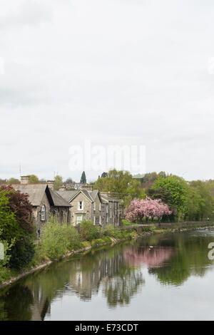 Il fiume Kent in Kendal, Riverside Walk, a nord di Victoria Bridge da Sandnes Avenue su un nuvoloso giorno di primavera. Foto Stock