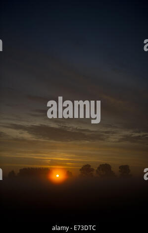 Usedom, Germania. Il 29 agosto, 2014. Il sole sorge sopra la mattina presto la nebbia vicino a Wolgast, sull'isola di Usedom, Germania, 29 agosto 2014. Foto: Stefan Sauer/dpa/Alamy Live News Foto Stock