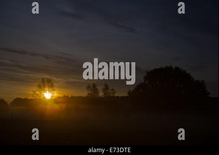 Usedom, Germania. Il 29 agosto, 2014. Il sole sorge sopra la mattina presto la nebbia vicino a Wolgast, sull'isola di Usedom, Germania, 29 agosto 2014. Foto: Stefan Sauer/dpa/Alamy Live News Foto Stock