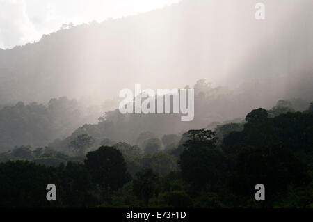 Eliminazione temporale nelle Highlands Meridionali della Tanzania Foto Stock