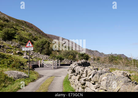 Griglia di bestiame e segno su Vicolo del paese attraverso Nant Ffrancon valley nel Parco Nazionale di Snowdonia. Bethesda, Gwynedd, Galles del Nord, Regno Unito Foto Stock