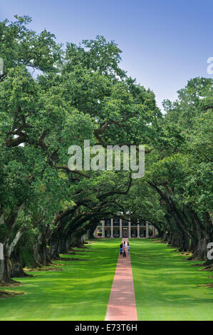 Oak Alley Plantation, Vacherie, Louisiana, Stati Uniti d'America Foto Stock