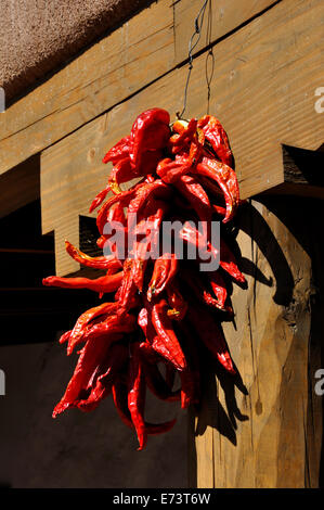 Chili Peppers essiccazione nel centro di Albuquerque, Nuovo Messico, STATI UNITI D'AMERICA Foto Stock