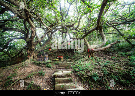 Miaoli, Taiwan - 4 Agosto 2014: vecchia pietra tempio a Miaoli, Taiwan Foto Stock