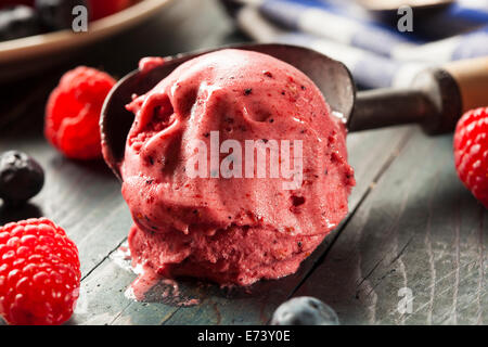 Organico in casa Berry sorbetto gelato pronto a mangiare Foto Stock