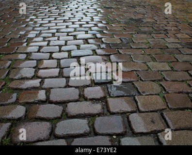 Wet cobblestone pavement Foto Stock